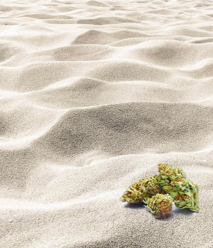 Embra craft cannabis on sandy beach